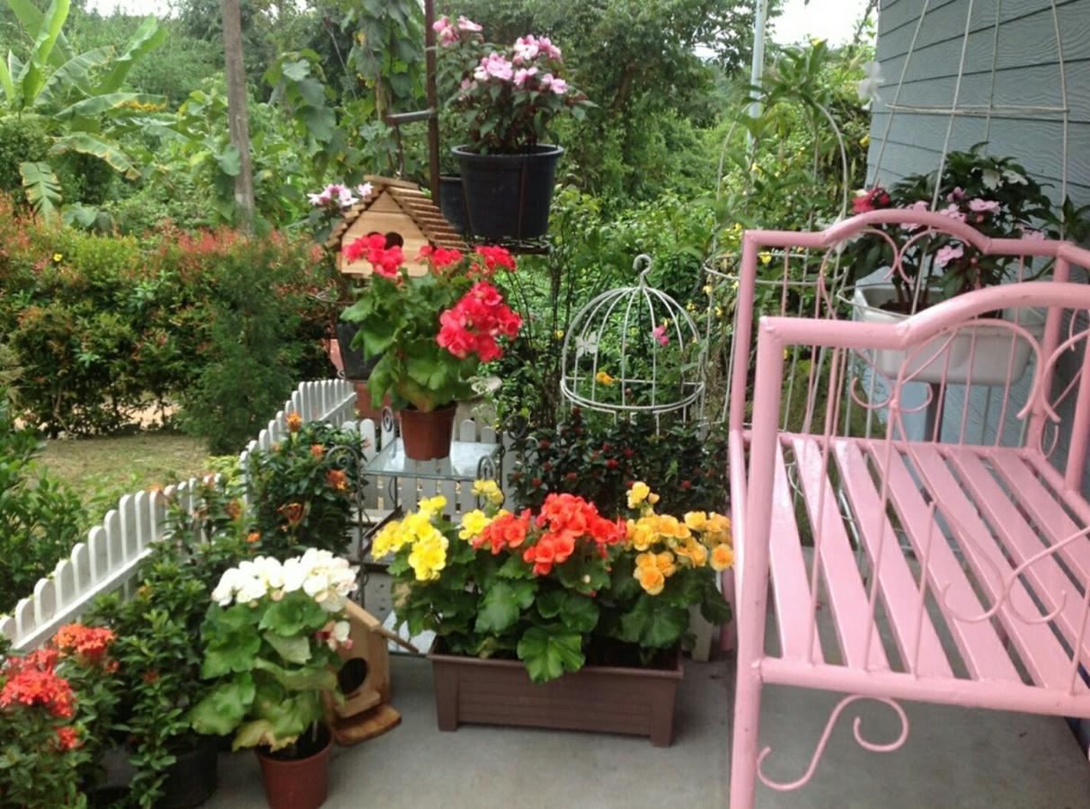 Baan Jaokorkluay บ้านเจ้ากอกล้วย Chiang Rai Exterior foto